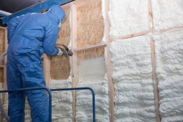 Best Insulation Air Sealing in Kent Estates, IA